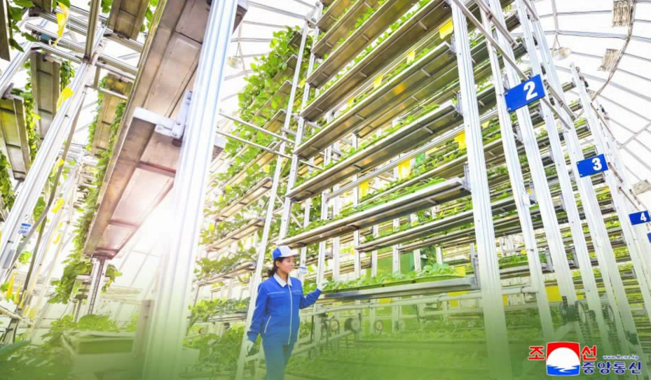 강동종합온실농장